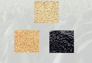 Corn Seeding Drone suppliers