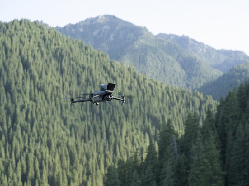 Forest Inspection Drone